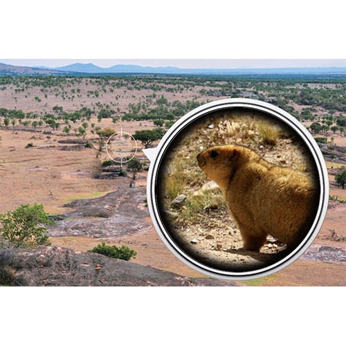 монокуляр Bushnell